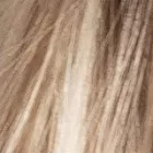 16/39+8 Soft Balayage Rooted