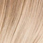 Sandyblonde Tipped hh