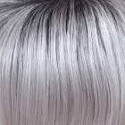 Illumina R