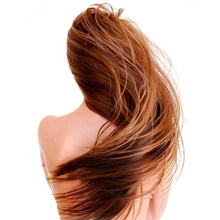 Extensiones